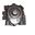 Picture of NEW Genie LPG Regulator/Vaporizer (Genie: 22279) (#121834704650)
